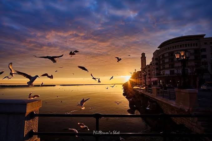 Tramonto sul lungomare di Bari con gabbiani in volo