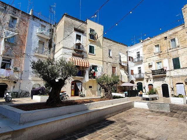 Piazza con case storiche e ulivi nel cuore di Bari Vecchia
